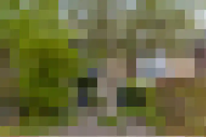 Vondellaan 18 Capelle aan den IJssel thumbnail 41