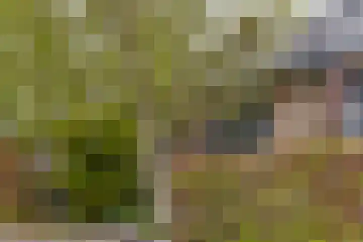 Vondellaan 18 Capelle aan den IJssel thumbnail 5