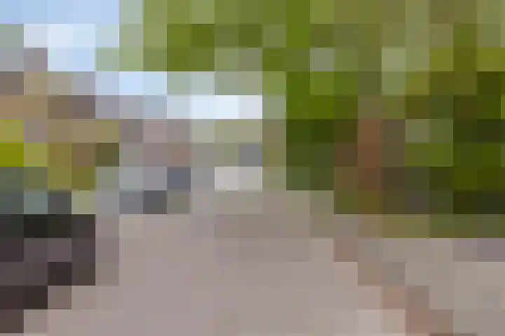 Vondellaan 18 Capelle aan den IJssel thumbnail 6