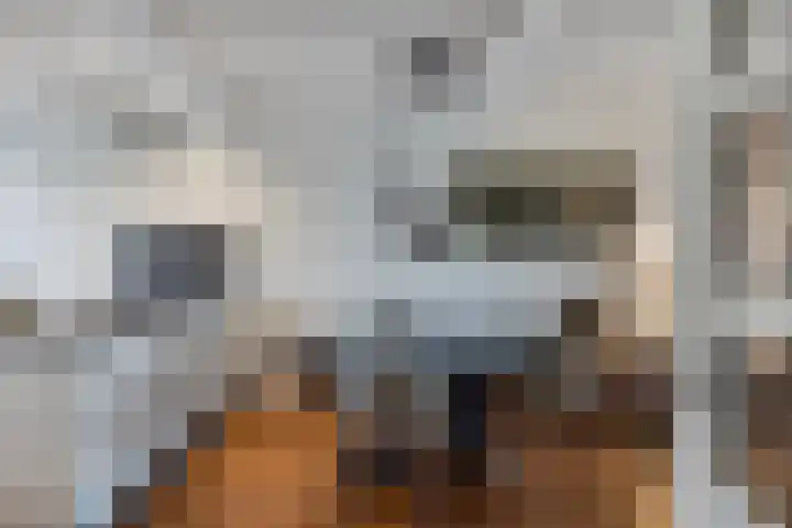 Vondellaan 18 Capelle aan den IJssel thumbnail 9