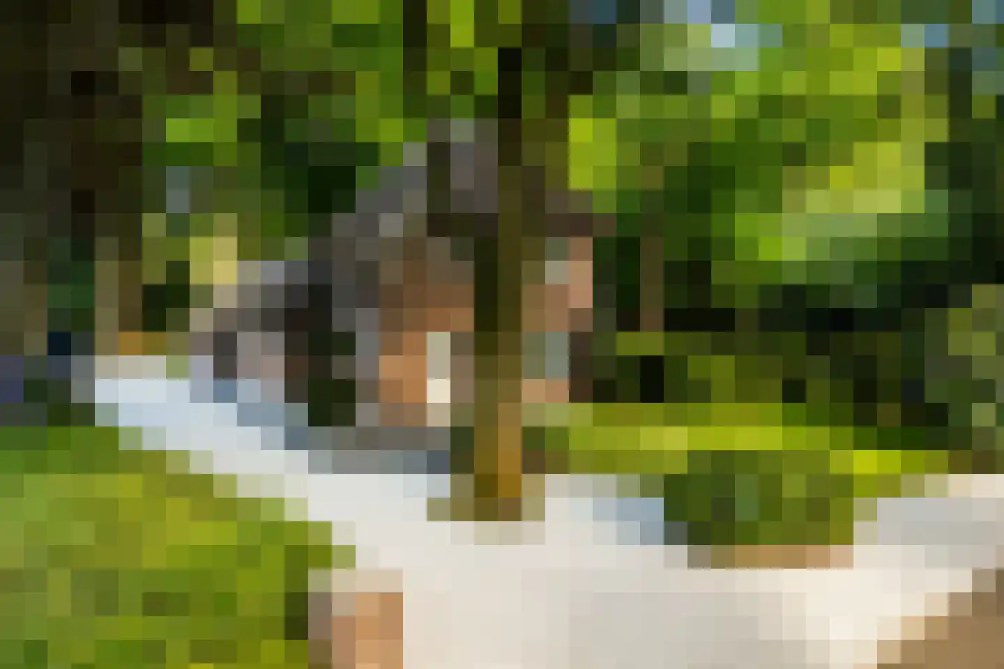 Vondellaan 18 Ermelo