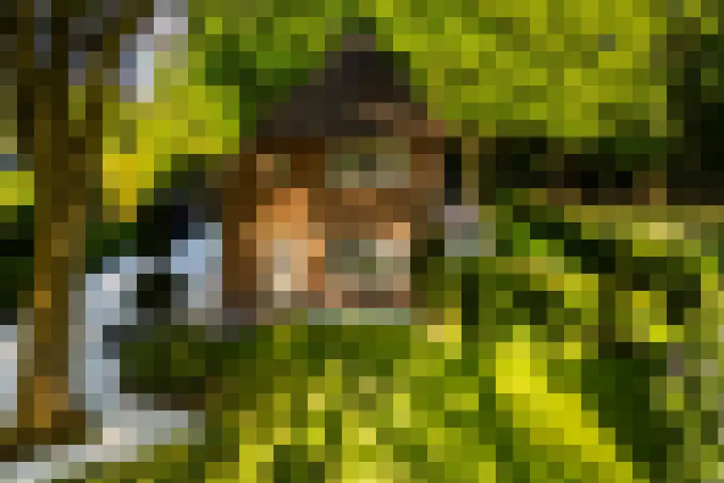 Vondellaan 18 Ermelo thumbnail 101
