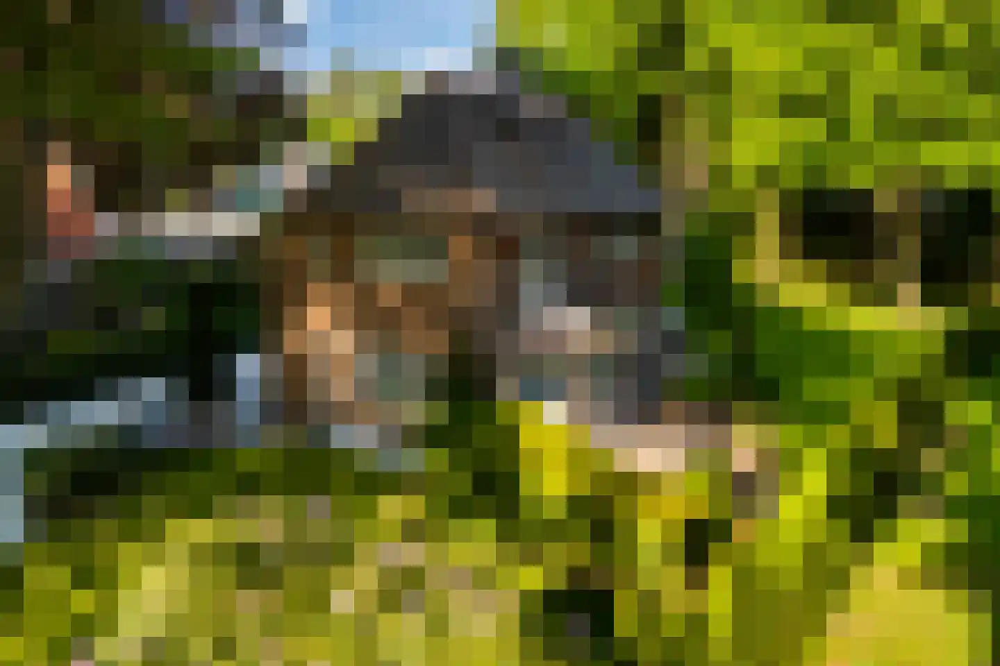 Vondellaan 18 Ermelo thumbnail 102