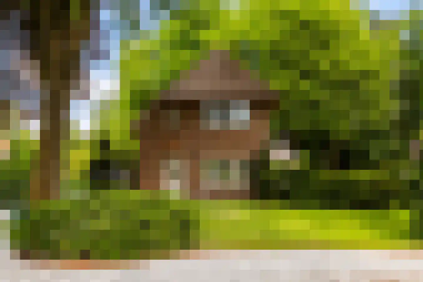 Vondellaan 18 Ermelo thumbnail 104