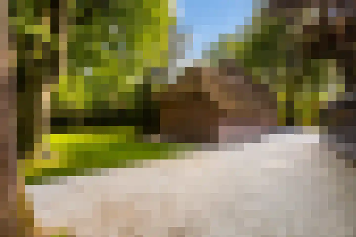 Vondellaan 18 Ermelo thumbnail 109