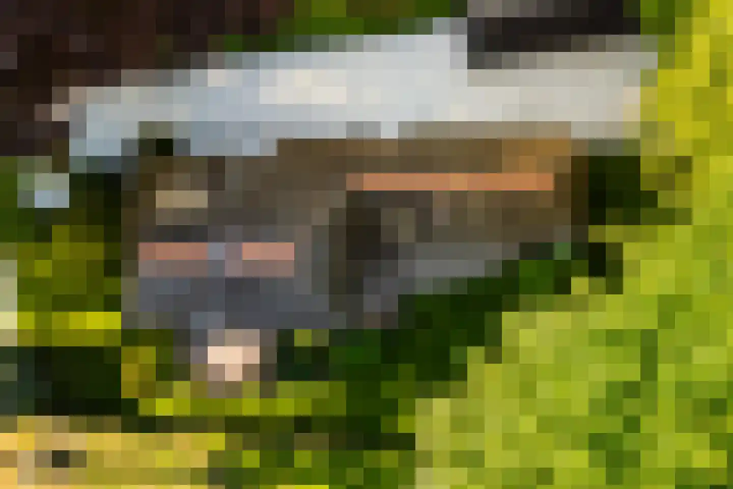 Vondellaan 18 Ermelo thumbnail 110