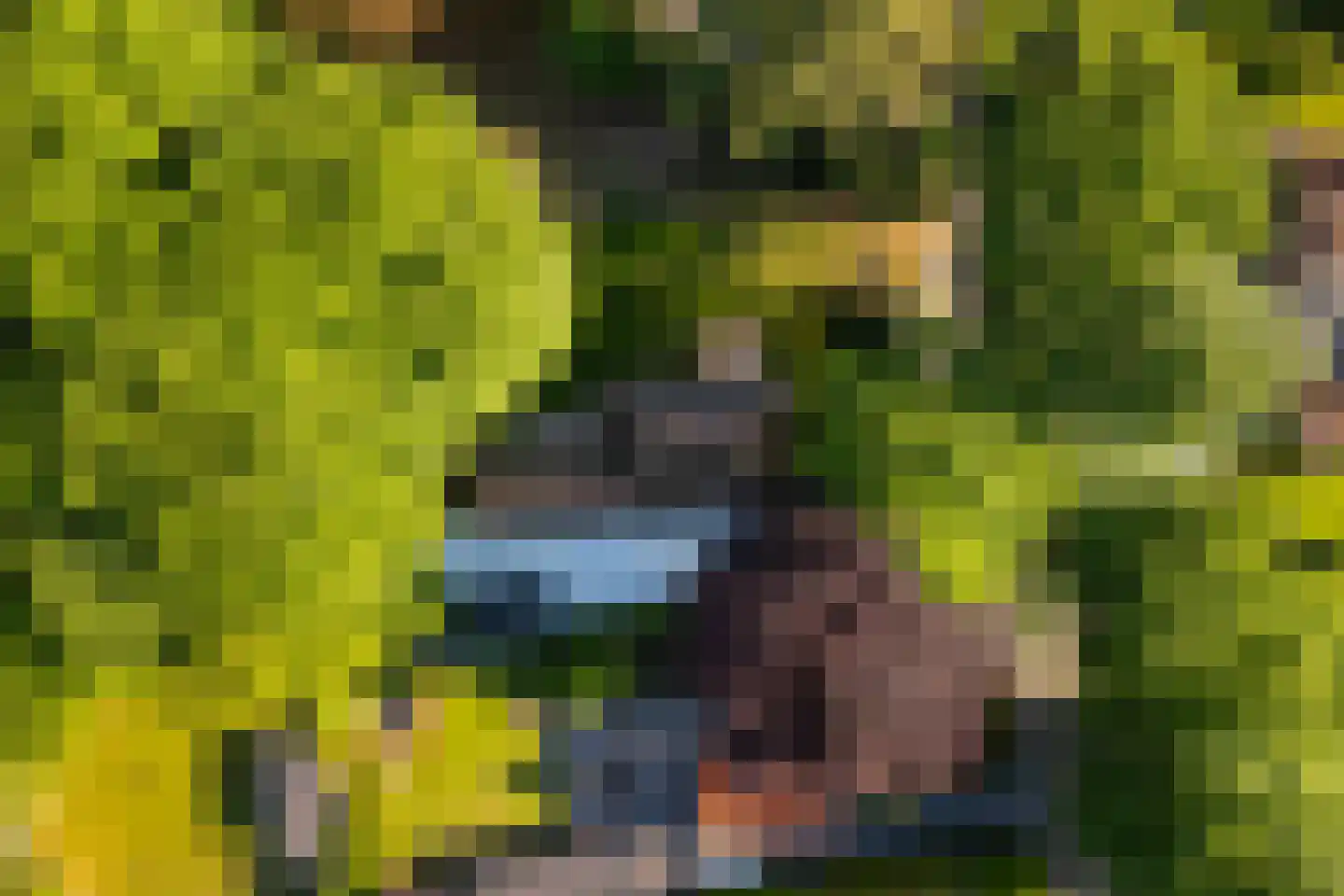 Vondellaan 18 Ermelo thumbnail 111