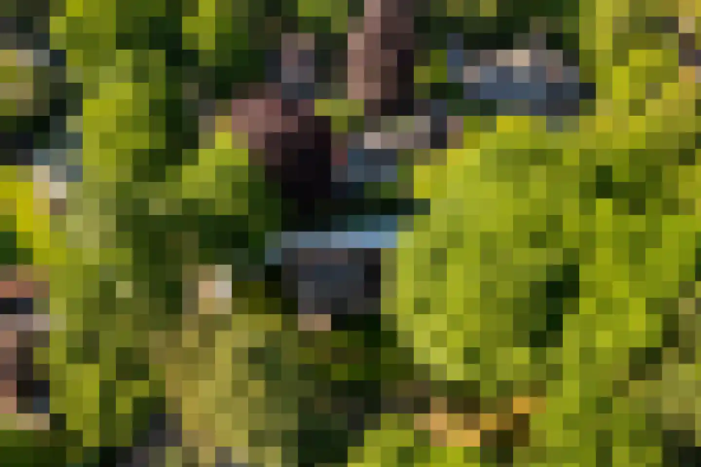Vondellaan 18 Ermelo thumbnail 112