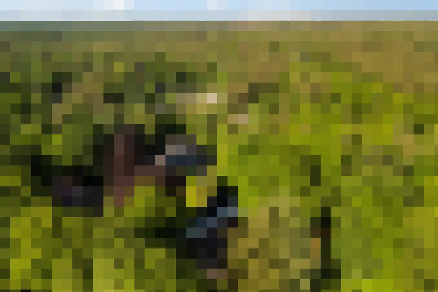 Vondellaan 18 Ermelo thumbnail 113