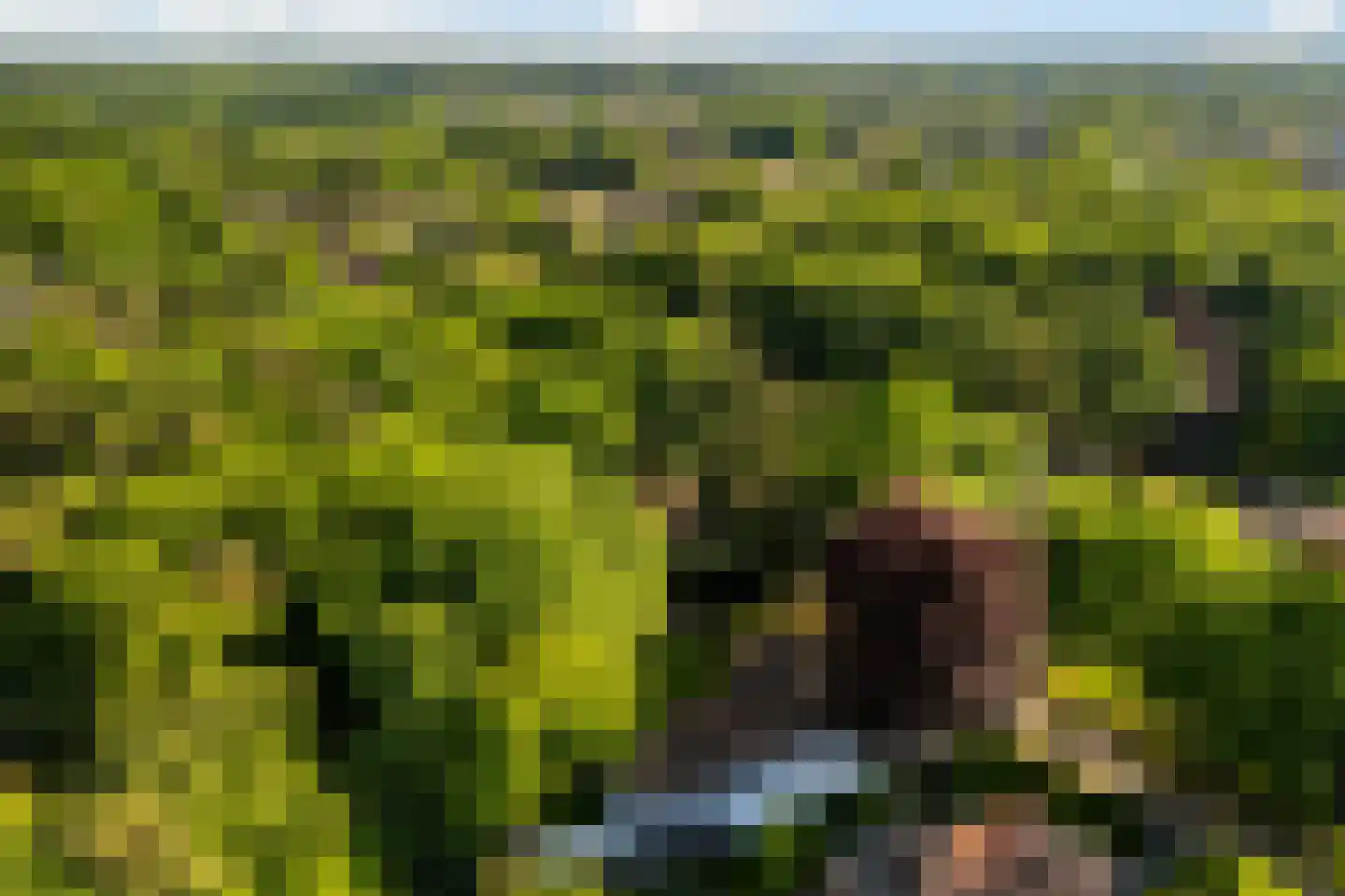 Vondellaan 18 Ermelo thumbnail 114