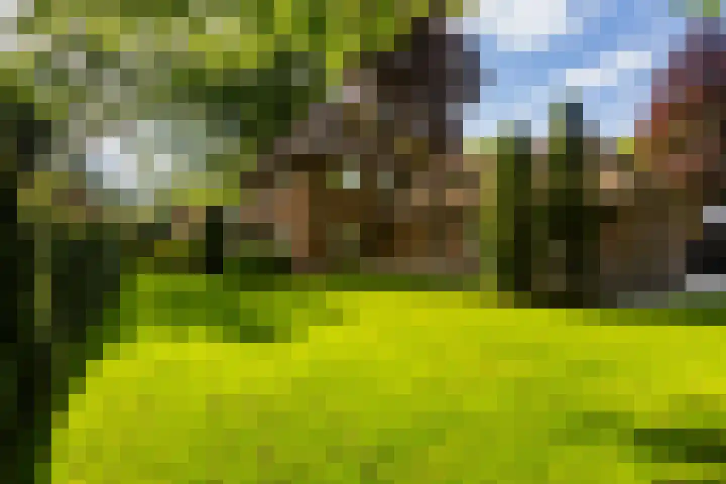 Vondellaan 18 Ermelo thumbnail 18