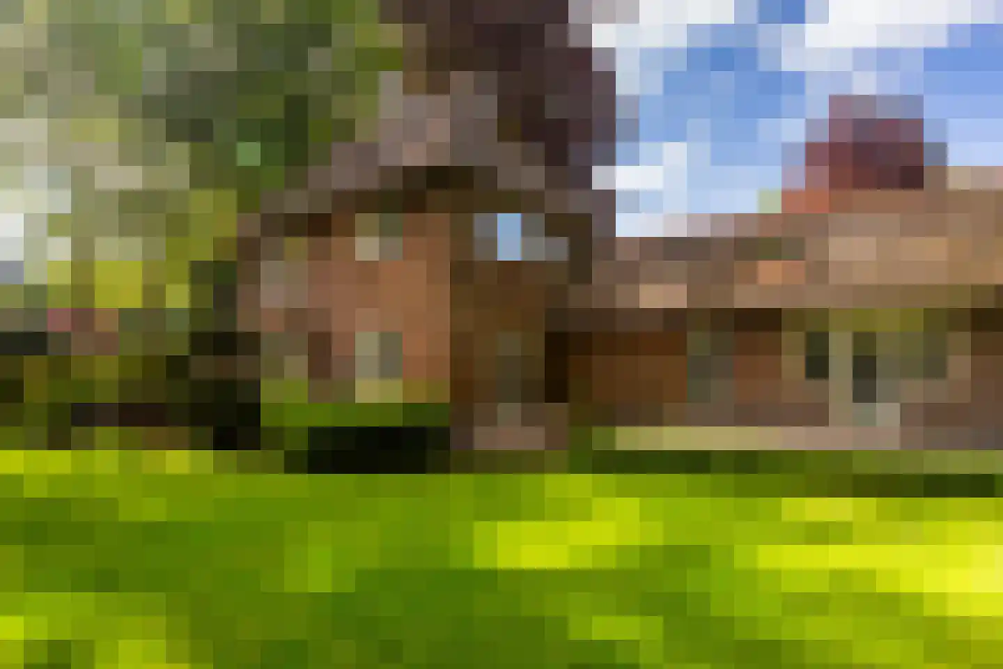 Vondellaan 18 Ermelo foto 3
