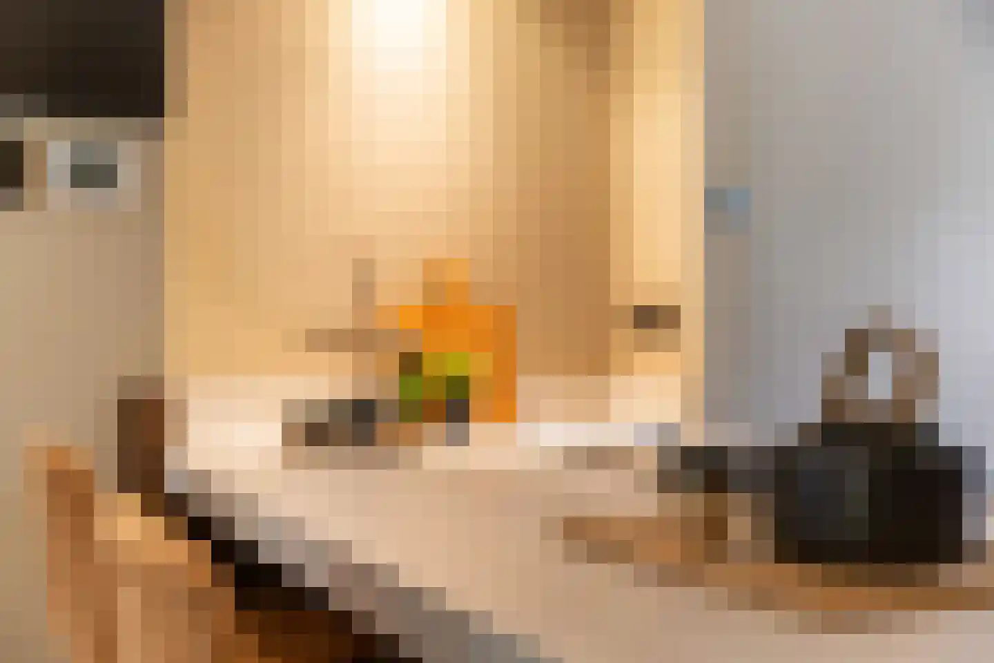 Vondellaan 18 Ermelo thumbnail 33