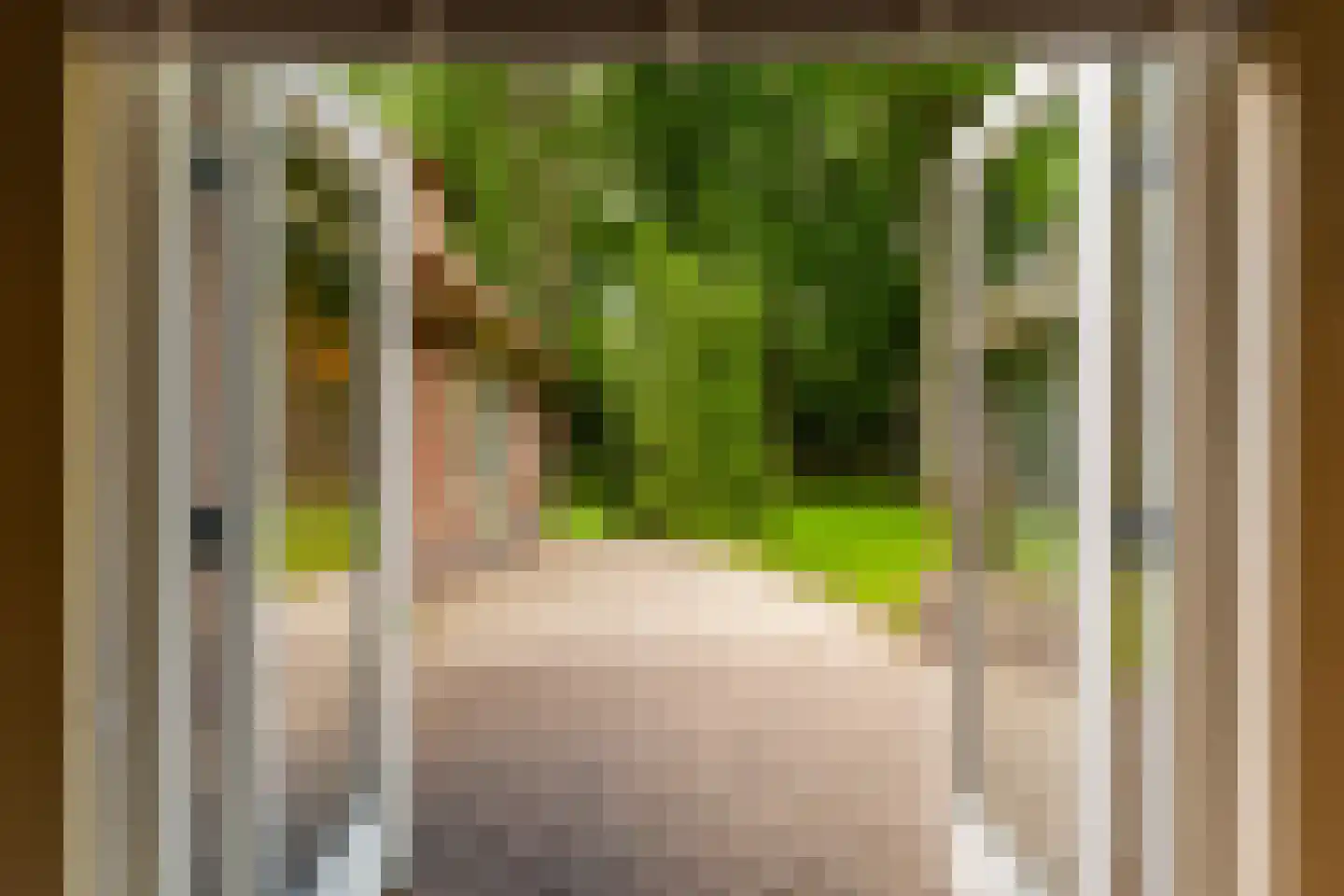 Vondellaan 18 Ermelo thumbnail 43