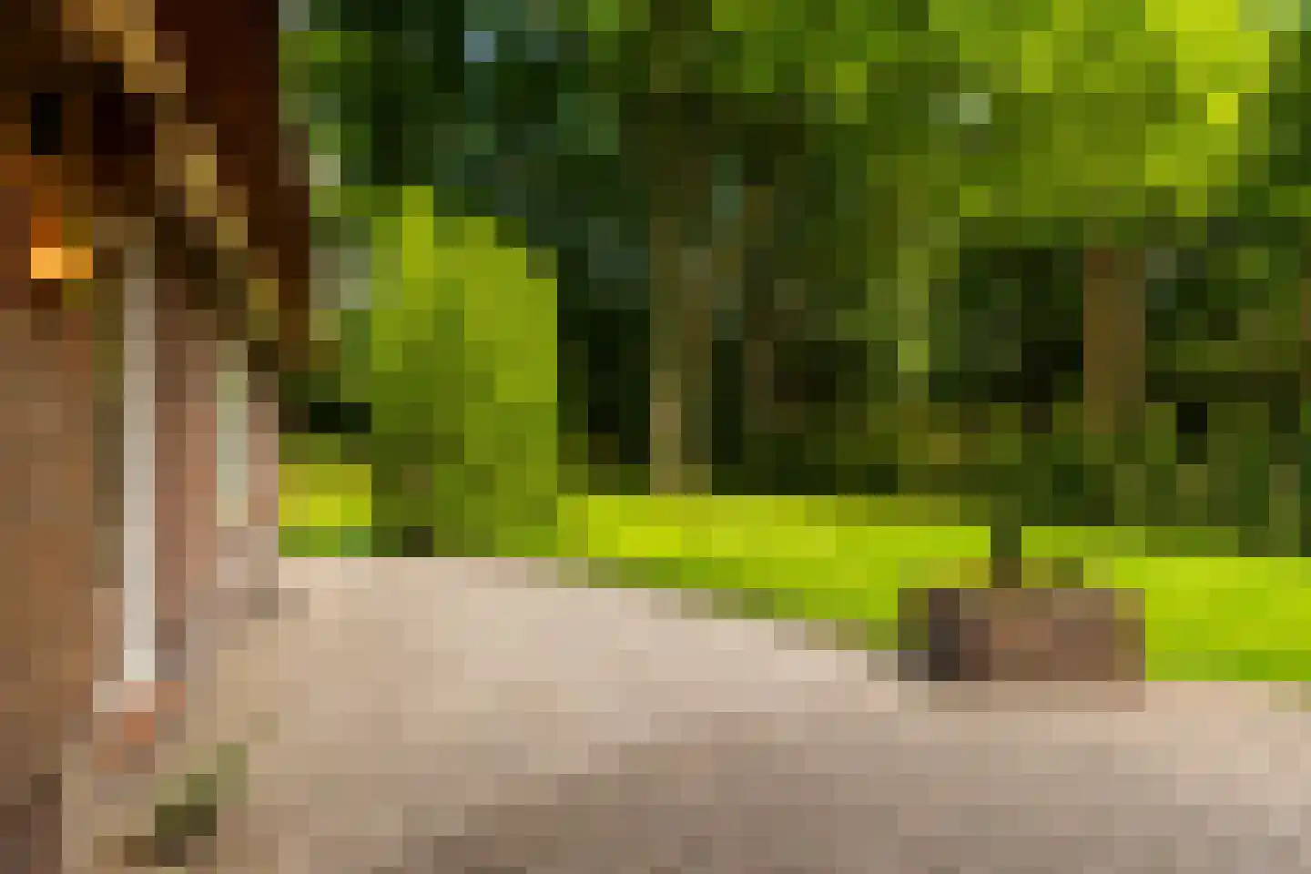 Vondellaan 18 Ermelo thumbnail 44