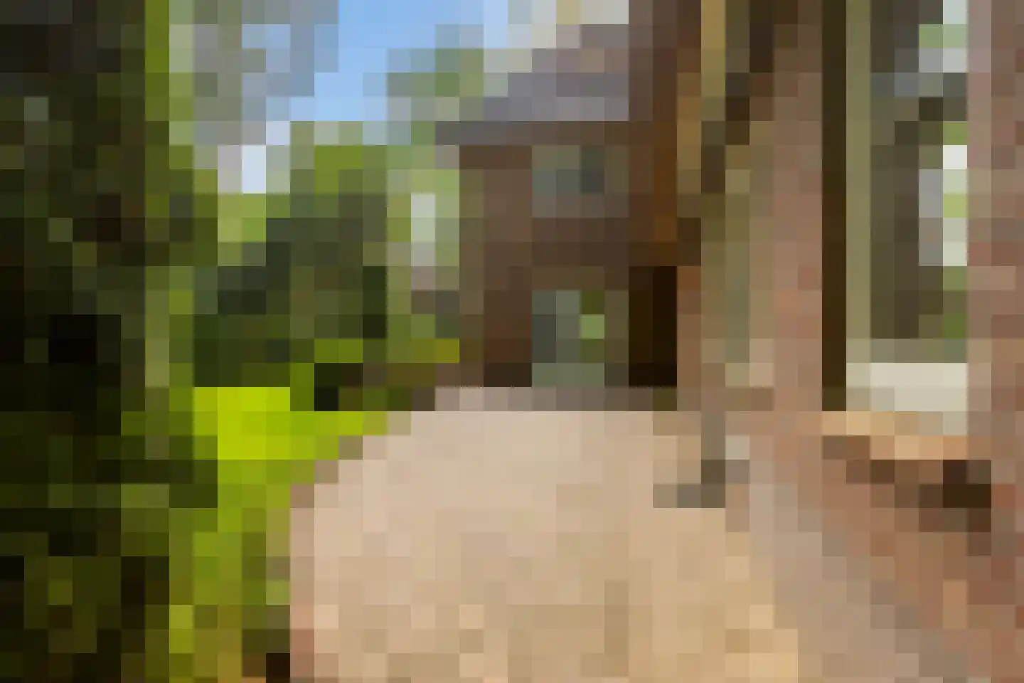 Vondellaan 18 Ermelo thumbnail 45
