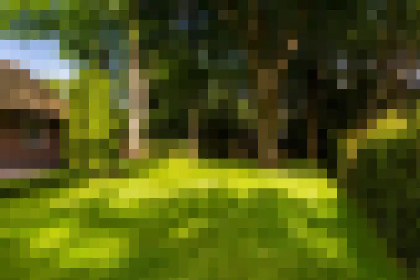 Vondellaan 18 Ermelo thumbnail 46