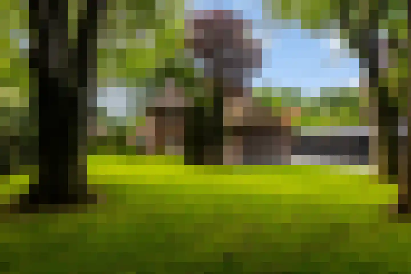 Vondellaan 18 Ermelo thumbnail 47