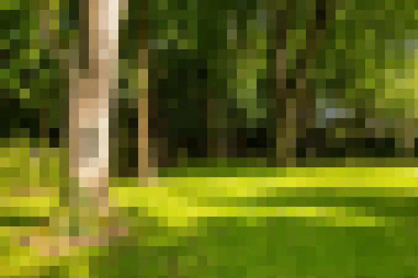 Vondellaan 18 Ermelo thumbnail 48