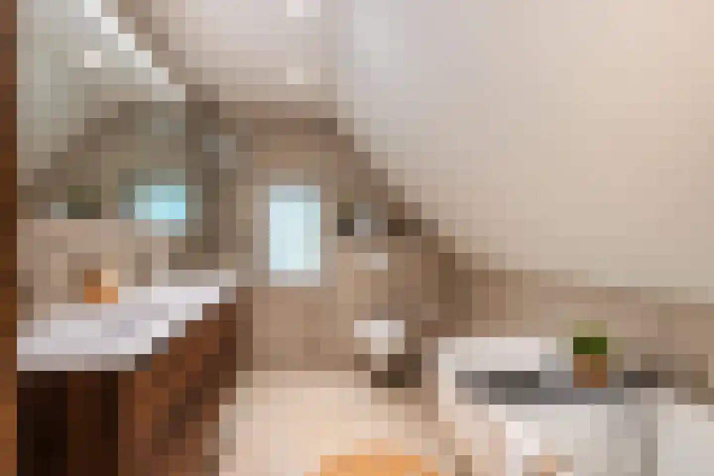 Vondellaan 18 Ermelo thumbnail 82