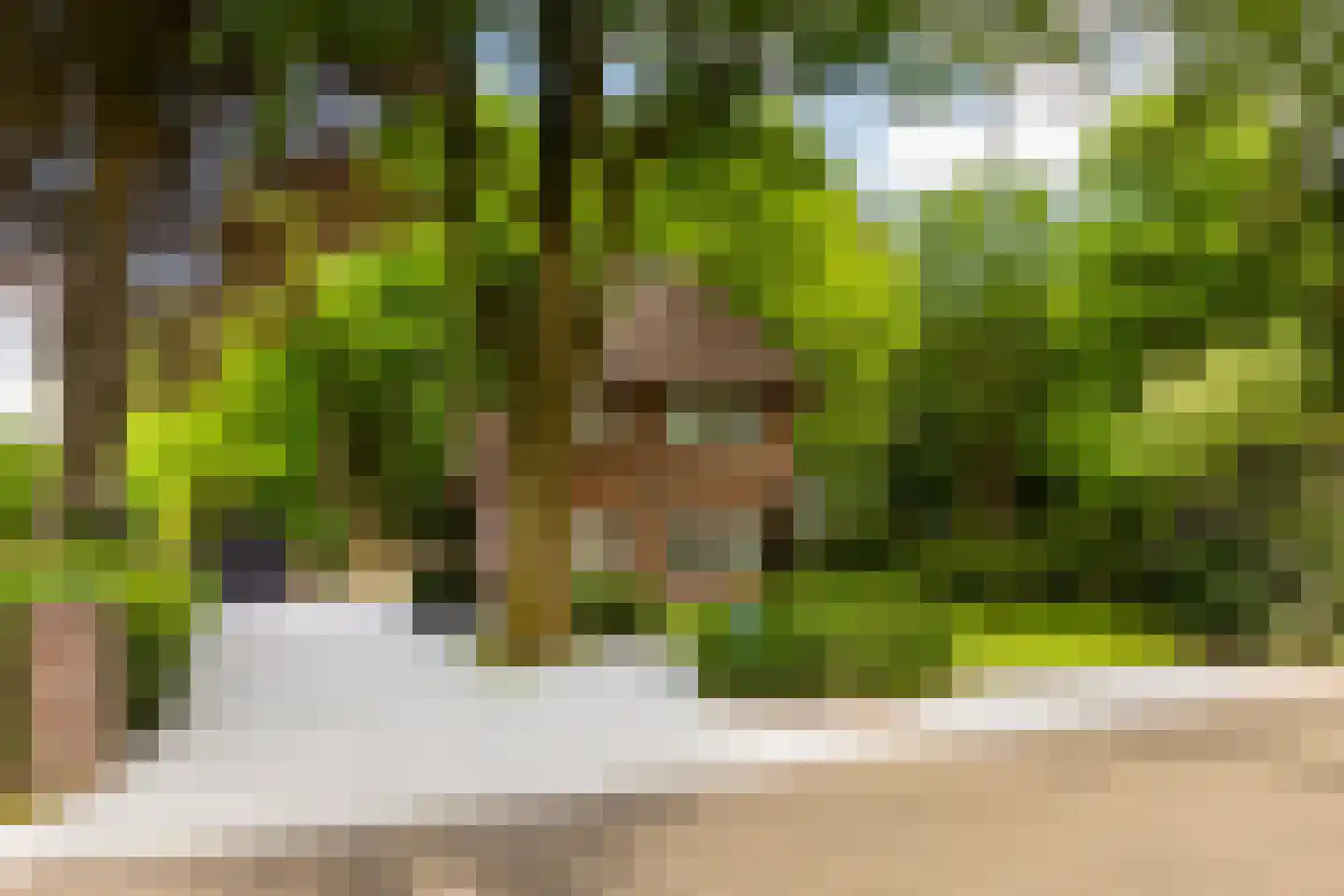 Vondellaan 18 Ermelo thumbnail 91