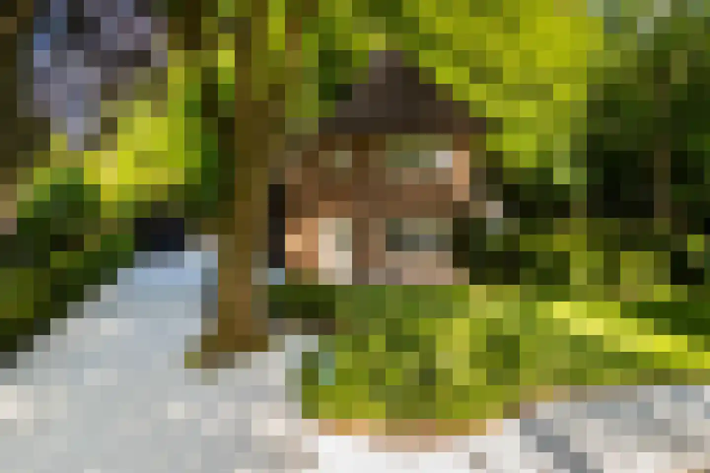 Vondellaan 18 Ermelo thumbnail 92