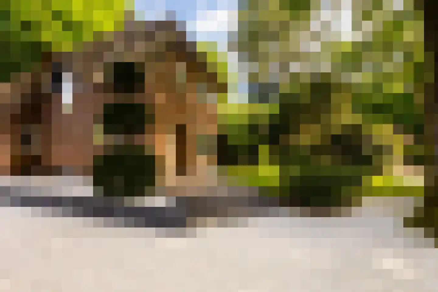 Vondellaan 18 Ermelo thumbnail 93
