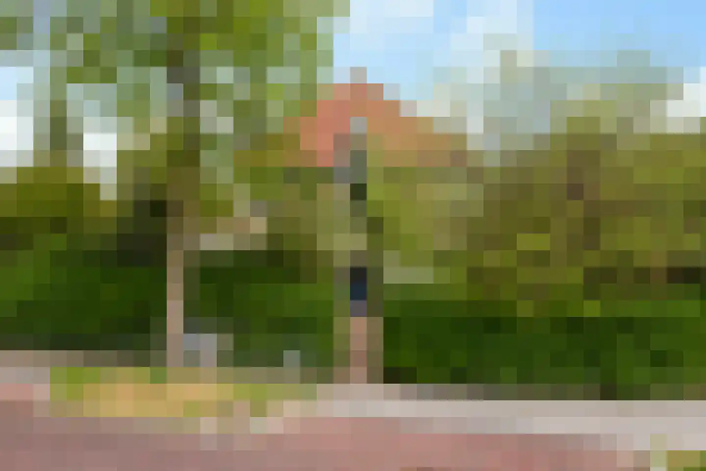 Vondellaan 2 Arnhem
