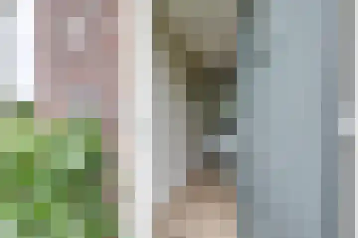 Vondellaan 2 B Zevenaar thumbnail 10