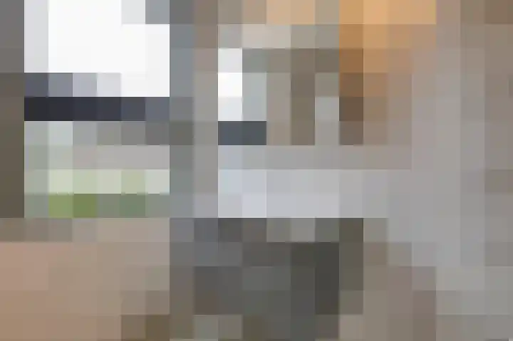 Vondellaan 2 B Zevenaar thumbnail 36