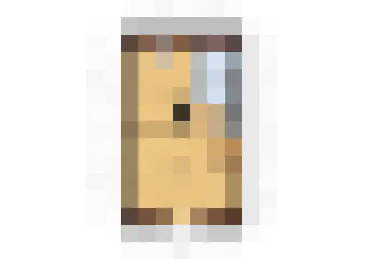 Vondellaan 2 B Zevenaar thumbnail 59