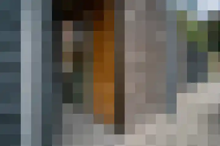 Vondellaan 2 C Zevenaar thumbnail 33
