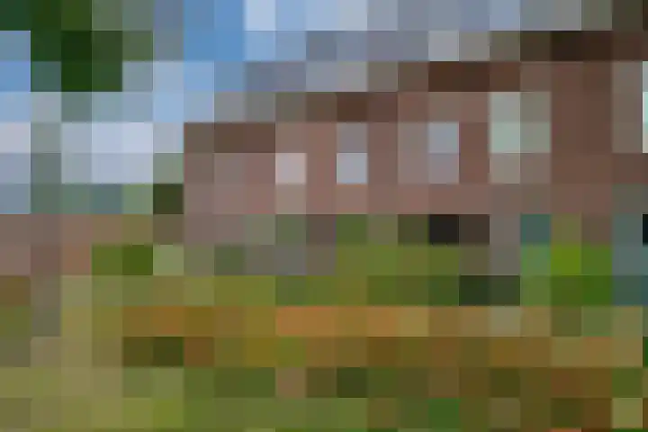 Vondellaan 2 C Zevenaar thumbnail 6