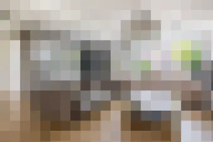 Vondellaan 2 Capelle aan den IJssel thumbnail 10