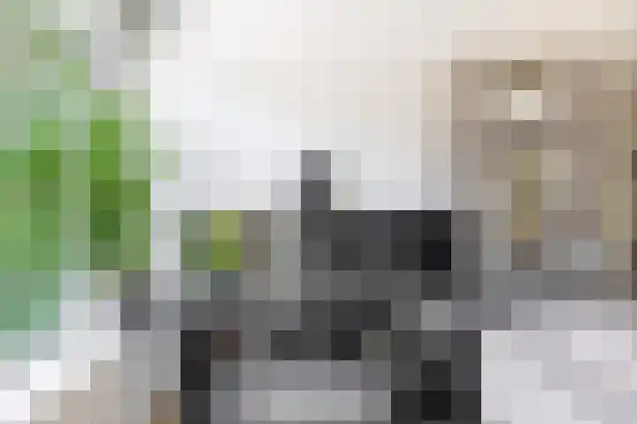 Vondellaan 2 Capelle aan den IJssel thumbnail 12