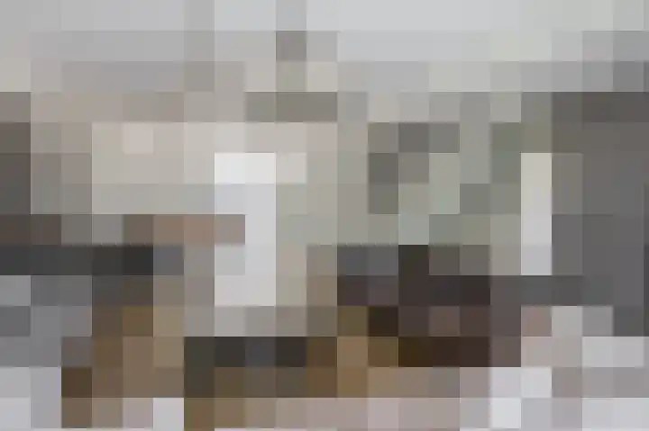 Vondellaan 2 Capelle aan den IJssel thumbnail 13