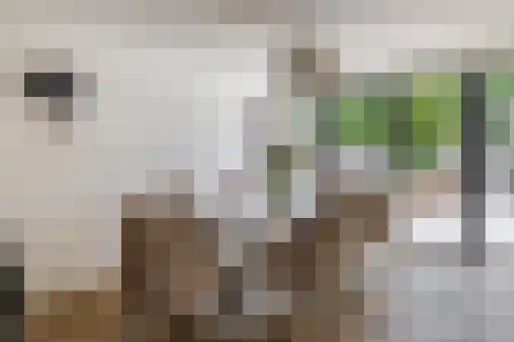 Vondellaan 2 Capelle aan den IJssel thumbnail 15