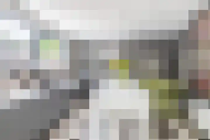 Vondellaan 2 Capelle aan den IJssel thumbnail 16