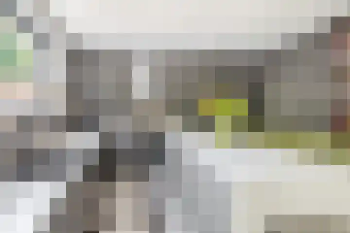 Vondellaan 2 Capelle aan den IJssel thumbnail 17