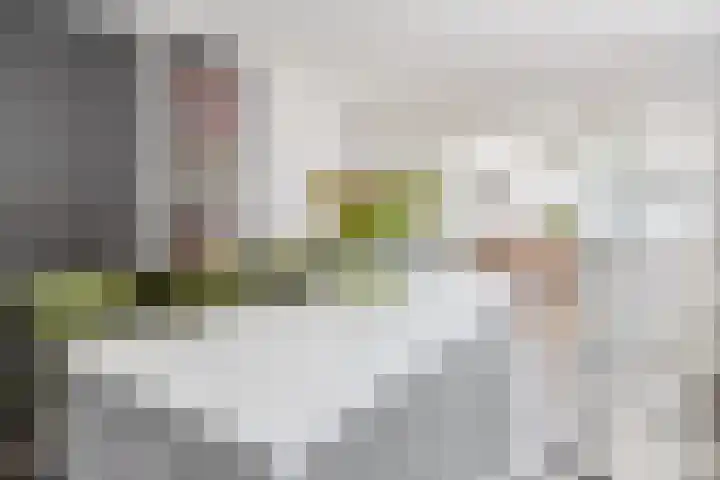 Vondellaan 2 Capelle aan den IJssel thumbnail 19