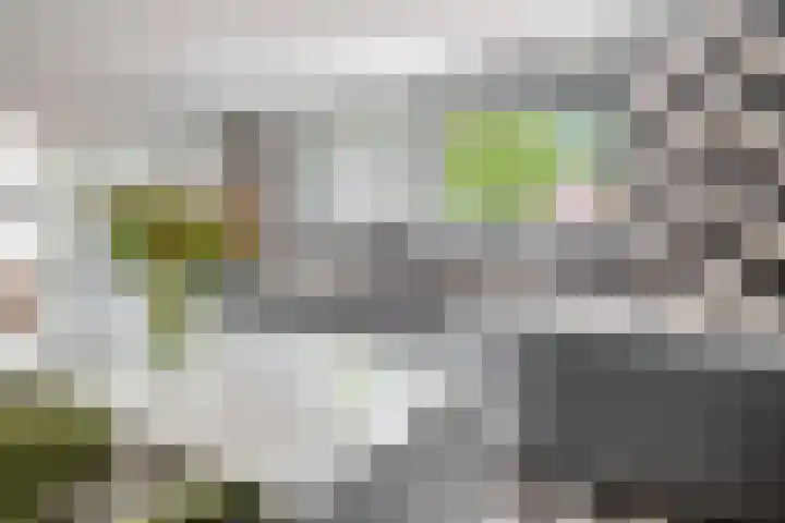 Vondellaan 2 Capelle aan den IJssel thumbnail 20