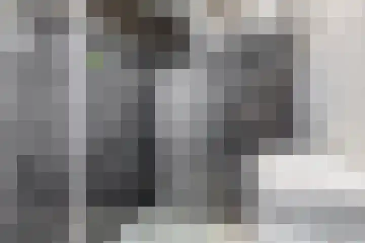 Vondellaan 2 Capelle aan den IJssel thumbnail 22