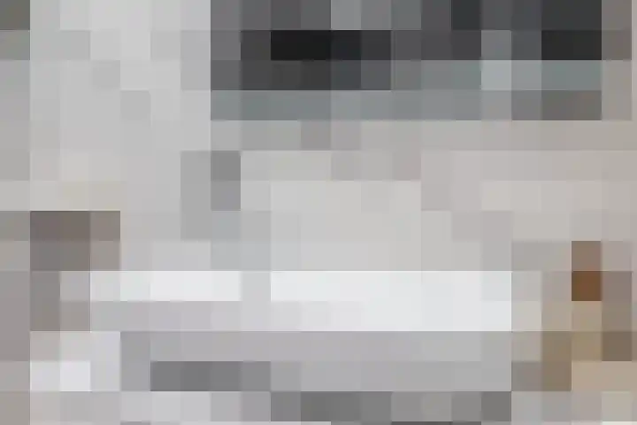 Vondellaan 2 Capelle aan den IJssel thumbnail 27