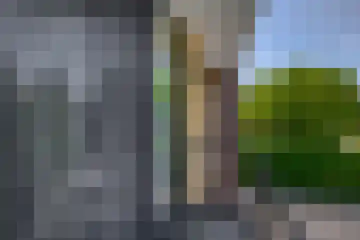 Vondellaan 2 Capelle aan den IJssel thumbnail 31