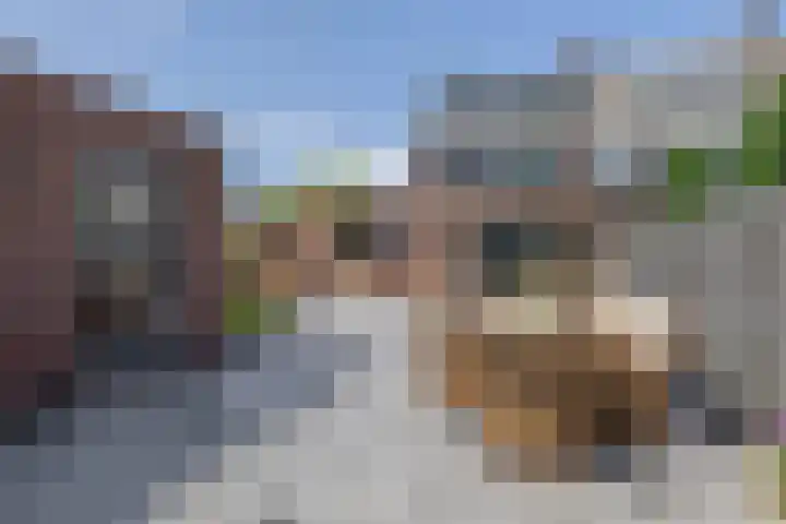 Vondellaan 2 Capelle aan den IJssel thumbnail 4