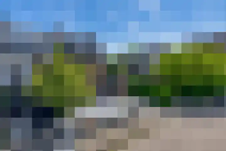 Vondellaan 2 Capelle aan den IJssel thumbnail 44