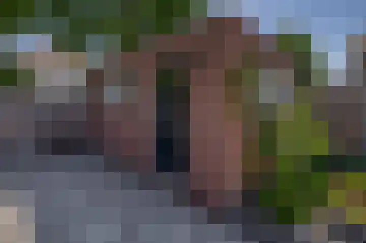 Vondellaan 2 Capelle aan den IJssel thumbnail 47