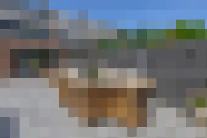 Vondellaan 2 Capelle aan den IJssel thumbnail 52