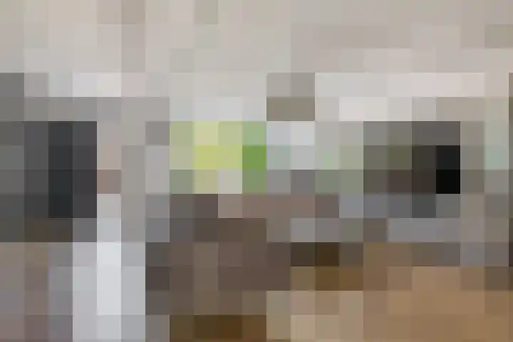 Vondellaan 2 Capelle aan den IJssel thumbnail 9