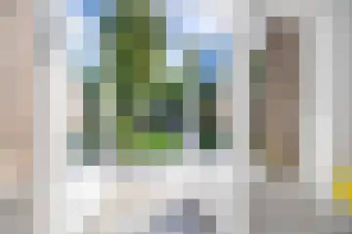 Vondellaan 2 Rijswijk thumbnail 11